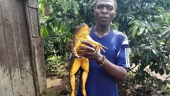 Cedric Fogwan amemshikilia mmoja wa vyura wa goliath aliyevunja rekodi