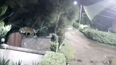 Ingo ziri hafi ya 'park' y'igihugu ntizorohewe n'ibikoko vyo mw'ishamba muri Kenya.