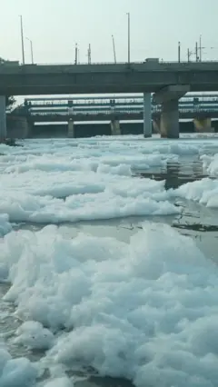 River Jamna