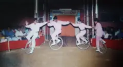 'පැසිපියා' යන නම ඇසූ පමණින් බොහෝ දෙනෙකුගේ මතකයට නැගෙන්නේ 'සර්කස්' කණ්ඩායමකි. දශක ගණනාවක් පුරා ශ්‍රී ලංකාවේ පරම්පරා ගණනාවක් නියෝජනය කළ ජනතාව පුදුමයට පත් කරවමින් සර්කස් පෙන්නූ 'සර්කස් පැසිපියා' තවමත් සංදර්ශන පවත්වයි.