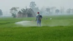 ਕੀਟਨਾਸ਼ਕ