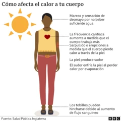 Gráfico