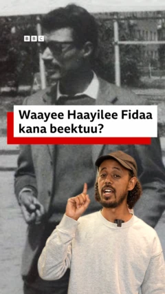 Waayee Hayilee Fidaa