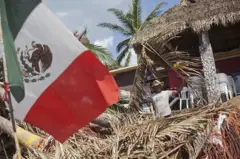 Bandeira do México ao lado de árvores caídas
