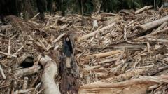 banjir-sumatra-tsunami-aceh-dan-likuifaksi-palu-apa-perbedaan-penanganannya