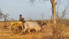 စစ်ဘေးရှောင်၊ အမျိုးသမီး၊ ရေရှားပါး၊ တကိုယ်ရည်သန့်ရှင်းရေး