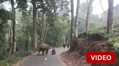 பைக்கை தாக்கிய யானை