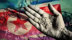 வடகொரியாவில் பஞ்சத்தில் தவிக்கும் பொதுமக்கள்