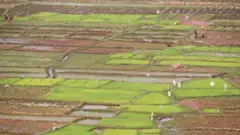 घरजग्जा