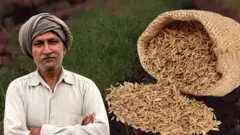 બીબીસી ગુજરાતી