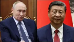 ፑቲን እና ዢ