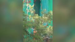 香港火災で火が広がる様子の映像　出火場所と一致