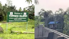 Tongeji