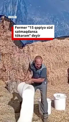 Azərbaycanda bir kəndlinin inəklərinin südünü yerə tökdüyü videosu yayılıb. Fermer videoda deyir ki, südü ondan çox ucuz qiymətə alırlar və baha satırlar. Südün litrini 15 qəpiyə satmaq onun xərclərini ödəmir deyə südü yerə tökür.