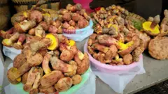 Vários pratos com cogumelos grandes, marrons, amarelos e vermelhos empilhados