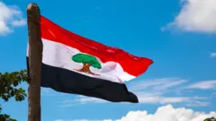 Alaabaa Mootummaa Naannoo Oromiyaa