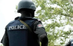 Àwòrá ọlọ́pàá