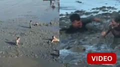 பிரேசில்