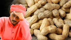 ગુજરાતમાં મગફળીની ખેતી, ટેકાના ભાવ