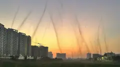 VIRAL VIDEO GRAB