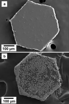 Imagens em alta resolução de microscópio eletrônico do glitter: (a) liso e intacto, e (b) cinco minutos após a exposição a condições semelhantes à água do mar, quando o glitter está coberto por pequenos cristais de carbonato mineral.