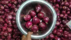 পেঁয়াজের দাম নিয়ন্ত্রণে বিদেশ থেকে আমদানির উদ্যোগ সরকারের