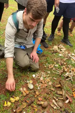 Um homem com camiseta cinza clara e calças verdes agacha sobre a grama, com uma fileira de cogumelos dispostos no chão à sua frente