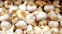 சீன மற்றும் பிலிப்பைன்ஸ் நாட்டுப்புறக் கதைகளில், காட்டேரிகளை விரட்ட பூண்டு பயன்படுத்தப்பட்டதாகக் கூறப்படுகிறது.
