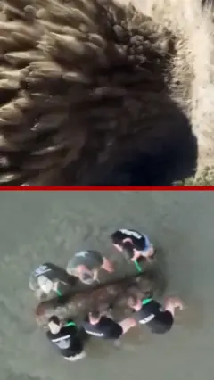 بم