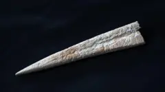 Um pequeno pedaço de osso que foi esculpido em uma ponta afiada em uma extremidade. Pode ter sido usado para fazer furos ao trabalhar couro. A extremidade pontiaguda está à esquerda e a extremidade mais larga à direita. É branco e marrom claro e tem um fundo preto. Há uma pequena ranhura que percorre cerca de metade de seu comprimento a partir da extremidade mais larga.