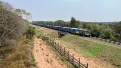 கோவை, யானைகள், வனத்துறை