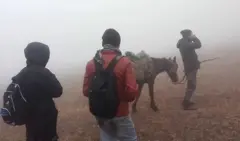 پناهجویان افغان در مرز ترکیه