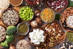 ምስሊ ዝተፈላለዩ ጥራምረን ኣሕምልትን