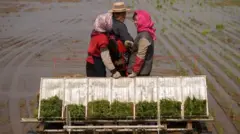 उत्तर कोरियाली किसान