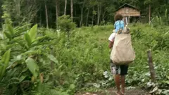 pengungsi papua