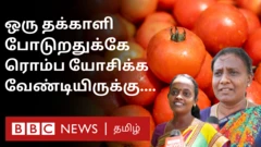 சரமாரியாக ஏறும் தக்காளி விலை - தமிழ்நாட்டு மக்கள் என்ன நினைக்கிறார்கள்?
