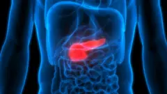 Anatomia do corpo de um homem com o pâncreas pintado de vermelho