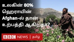 ஆப்கன் மக்களின் ஓபியம் வயல்களை தாலிபன்கள் அழிப்பது ஏன்?