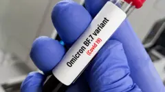 করোনাভাইরাসের নতুন ধরণ বিএফ-৭ 