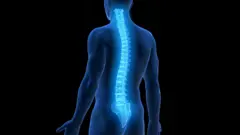 Imagem sobre fundo preto de um corpo humano azul transparente com a coluna vertebral iluminada.