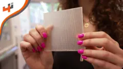 كيف يتم تحويل الخشب إلى مادة شفافة شبيهة بالزجاج؟