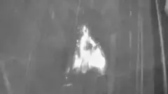 Erupcija vulkana snimljena termalnom kamerom