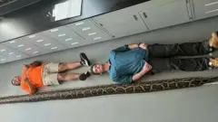 மலைப்பாம்பு வேட்டை அமெரிக்கா