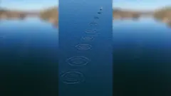 पानीमा ढुङ्गा उफार्दा बनेका तरङ्गहरूको शृङ्खला