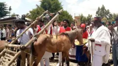 Fardarraa gaarii wayita buusan