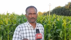 పెద్దిరెడ్డి, తాడిపత్రి వ్యవసాయ సలహా మండల చైర్మన్