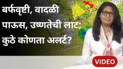 राज्यात इथे बरसल्या मान्सूनपूर्व सरी, विदर्भातील या भागात उष्णतेसाठी रेड अलर्ट