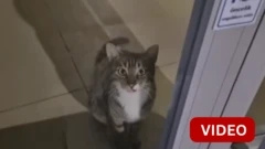 ஒலித்த வங்கி அலாரம் - போலீசுக்கு காத்திருந்த அதிர்ச்சி