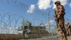 سرباز پاکستانی درحالی که سلاح به دست دارد در کنار سیم‌های خاردار نزدیک مرز ایستاده است. 