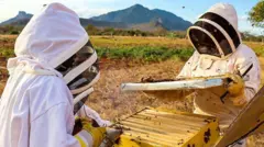 யானை - மனித மோதல், தேன் கூடு வேலி